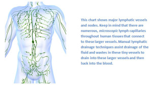 Lymphatic-Drainage